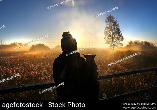 22 October 2023, Baden-Württemberg, Bad Buchau: A woman stands on the Federsee pier in the morning with her dog and watches the sunrise