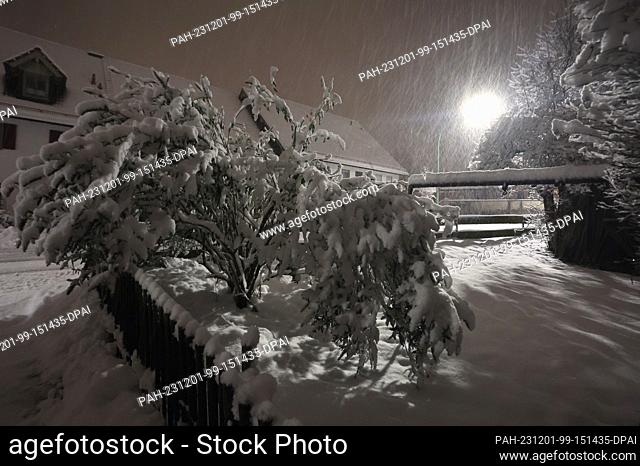 01 December 2023, Bavaria, Kaufbeuren: A shrub covered in heavy snow stands in the thick snowdrift. Photo: Karl-Josef Hildenbrand/dpa