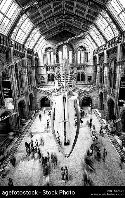 London, United Kingdom, June 30 2019: Crowd of people at the main hall of the famous National History museum in London UK