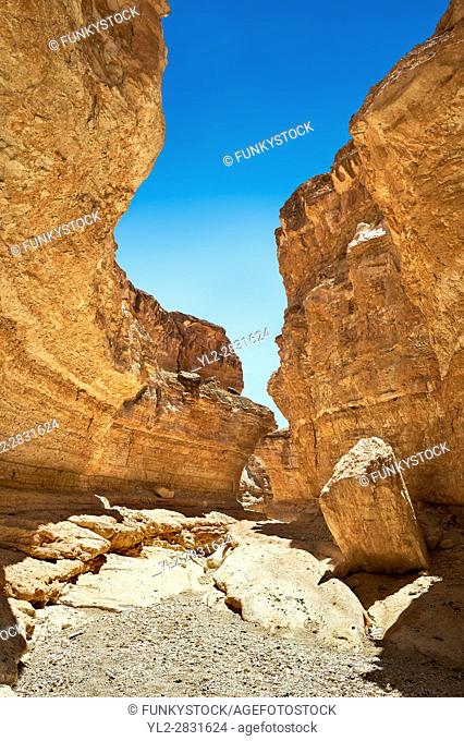 The desert canyon near the Sahara oasis of Mides, Tunisia, North Africa