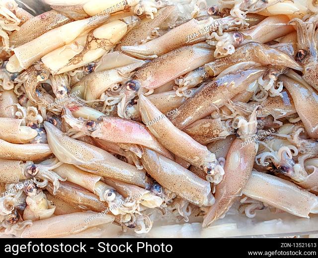 Defrosted squid on ice for sale, Fish local market stall with fresh and defrosted seafood