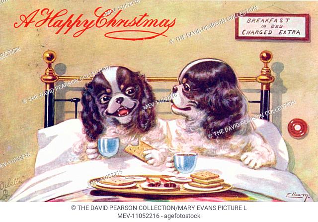Two dogs in bed on a Christmas postcard -- breakfast in bed charged extra
