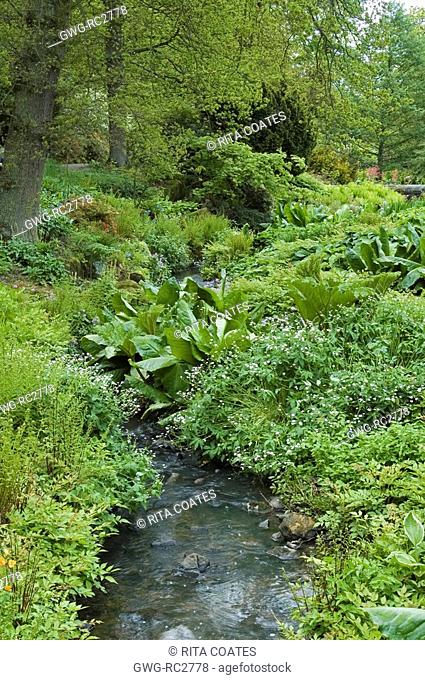 THE STREAMSIDE GARDEN IN LATE SPRING AT HARLOW CARR GARDENS