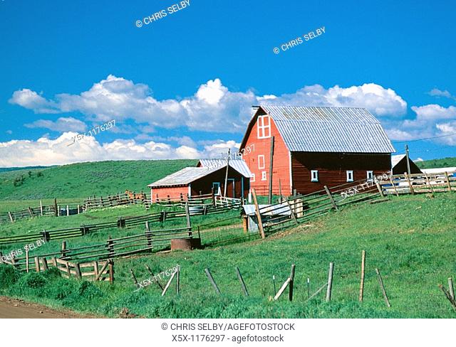 Red barn near Steamboat Springs, Colorado, USA