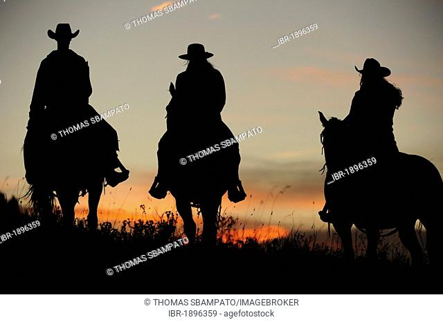 Cowboy and cowgirls riding over the prairie, silhouettes at sunset, Saskatchewan, Canada