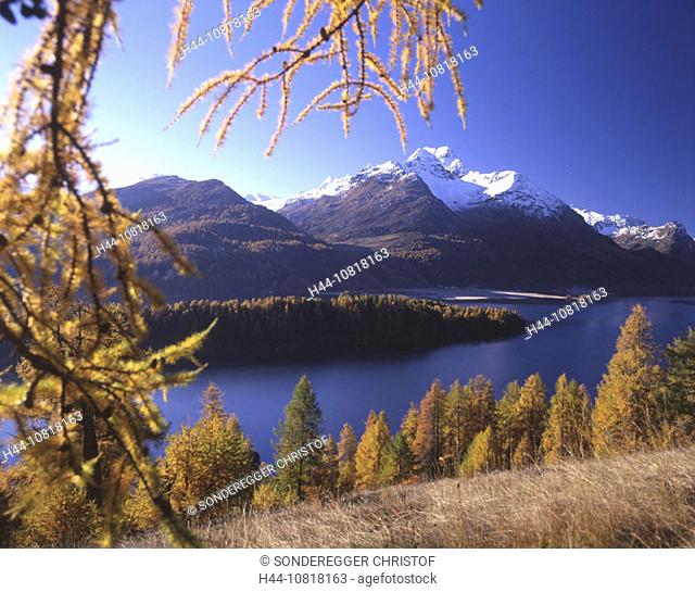 scenery, landscape, Upper Engadine, Silsersee, lake Sils, autumn, Engadine, lake, mountains, Alps, larches, larch wood