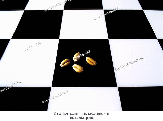 Chess board (checkerboard, cequerboard) with four grains of wheat. Story (legend) of the Indian king Shihram and the wise man Sissa bin Dahir