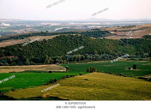 High angle view of a field, Pueblos Blancos, Arcos De La Frontera, Cadiz Province, Andalusia, Spain