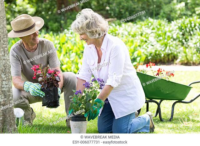 Couple engaged in gardening