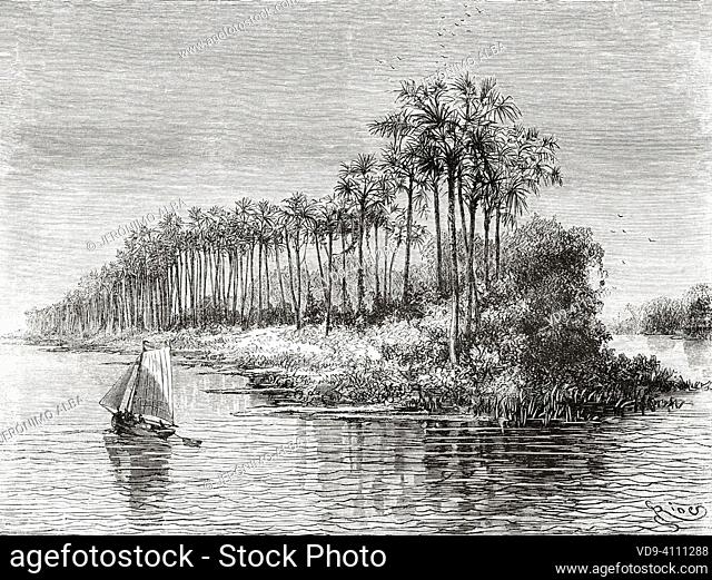 Mantequeira island, Amazon river, Brazil. South America. Journey through South America, from the Pacific Ocean to the Atlantic Ocean by Paul Marcoy 1848-1860...