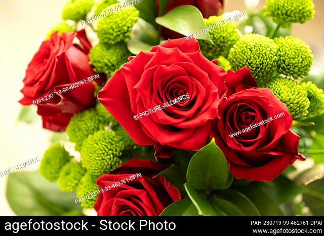 SYMBOL - 19 July 2023, Baden-Württemberg, Rottweil: A bouquet of roses stands in an apartment. Photo: Silas Stein/dpa. - Rottweil/Baden-Württemberg/Germany