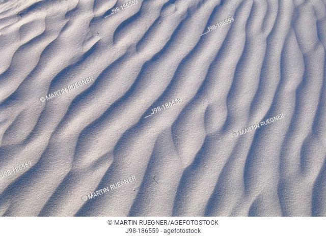 White gipsum dunes. Nambung National Park. Western Australia