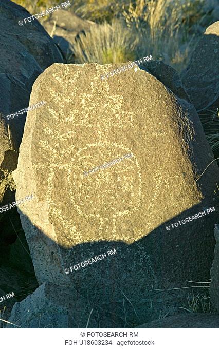 Three Rivers Petroglyph National Site, a (BLM) Bureau of Land Management Site, features more than 21, 000 Native American Indian petroglyphs and examples of...