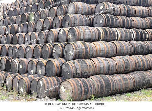 Stacked wooden whiskey barrels, oldest licensed whiskey distillery in the world, Locke's Distillery, Kilbeggan, Westmeath, Midlands, Republic of Ireland, Europe