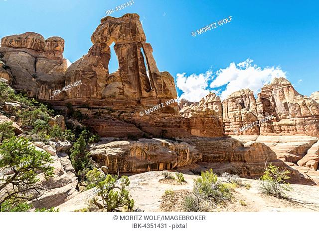 Druid Arch, Rock Formation, Stone Arch, Elephant Canyon, The Needles District, Canyonlands National Park, Utah, USA, USA