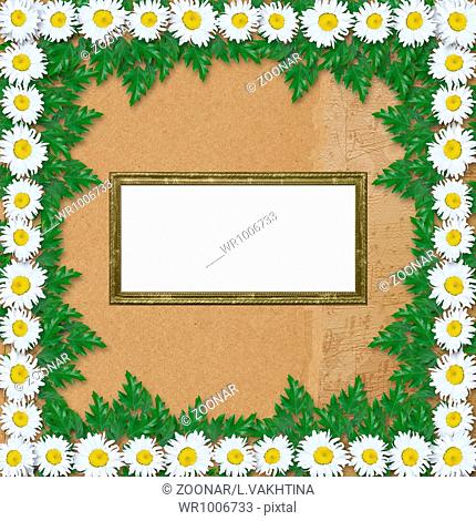 Abstract musical background with garland of snow-white daisies