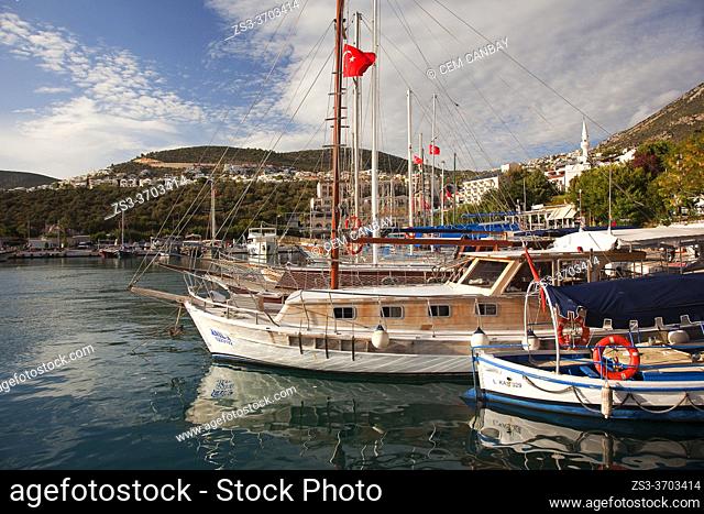 Daily cruise boats at the port of Kalkan at the afternoon light, Antalya Province, Mediterranean Coast, Ancient Lycia Region, Turkish Riviera, Turkey, Europe