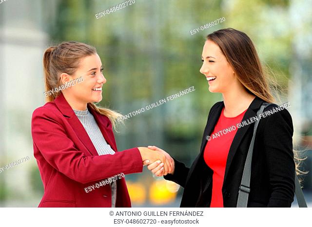 Side view of two happy executives meeting and handshaking on the street
