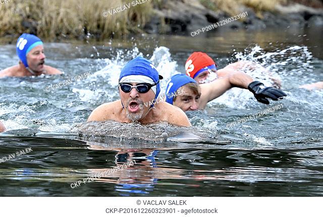Pavel Podmela, along with other contestants, swims in the Dyje river during 42th Christmas Kilometer Race, a Christmas winter swimmers meeting, in Breclav