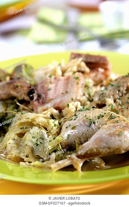 Forest rabbit and partridge with cabbage