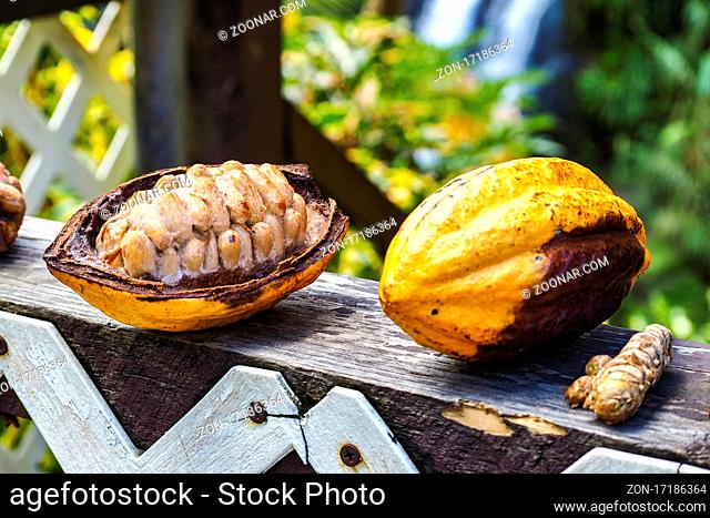 Tropical fruits near Concord Falls on the Island Of Grenada. Grenada is a country and an island located in the southern part of the Lesser Antilles, West Indies