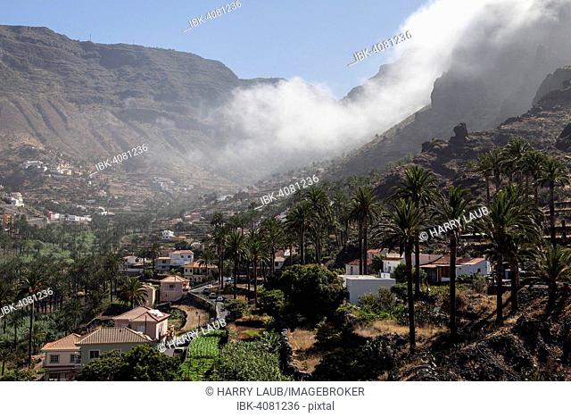 Canary Island Date Palms (Phoenix canariensis), trade wind clouds and the villages in Valle Gran Rey, La Gomera, Canary Islands, Spain