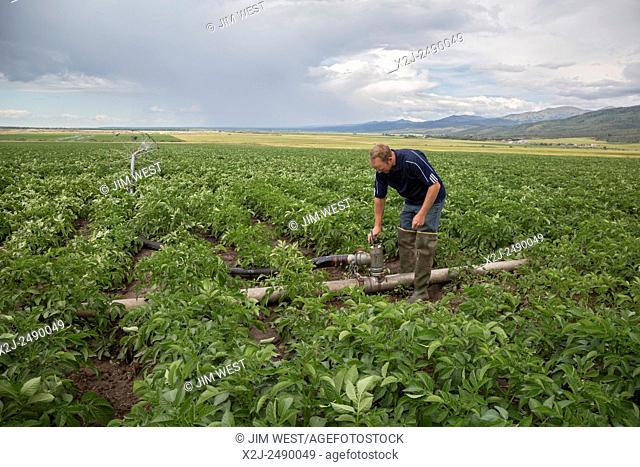 Driggs, Idaho - Wyatt Penfold adjusts irrigation equipment on his farm, where he grows seed potatoes