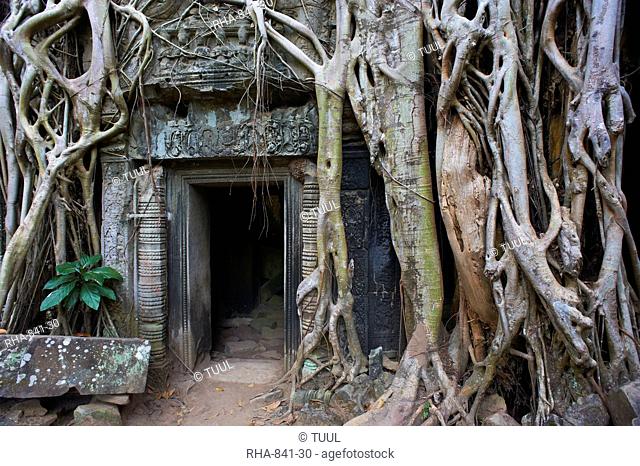 Tree roots around entrance to Ta Prohm temple built in 1186 by King Jayavarman VII, Angkor, UNESCO World Heritage Site, Siem Reap, Cambodia, Indochina
