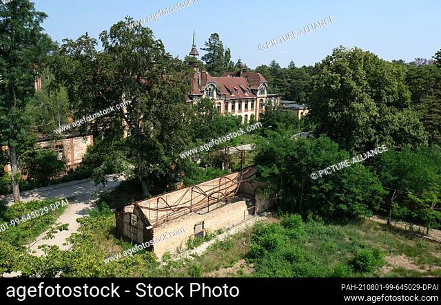 24 July 2021, Brandenburg, Beelitz: On the grounds of the former lung sanatoriums in Beelitz-Heilstätten is the 700-metre-long treetop trail ""Tree and Time""
