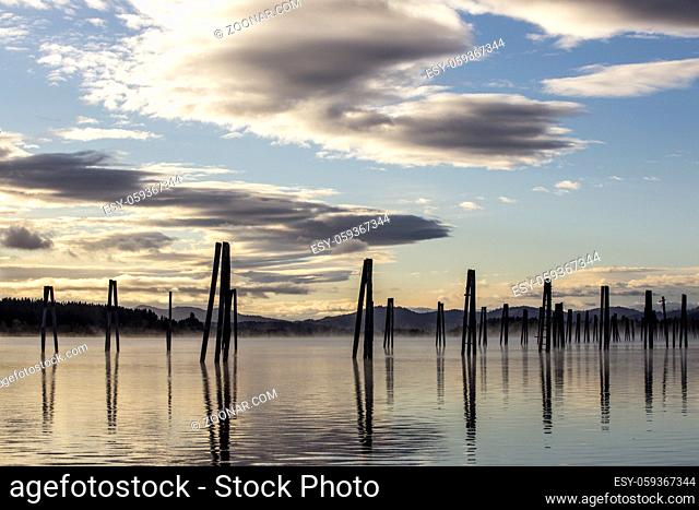 Wood pilings in the Pend Oreille RIver in October in Cusick, Washington