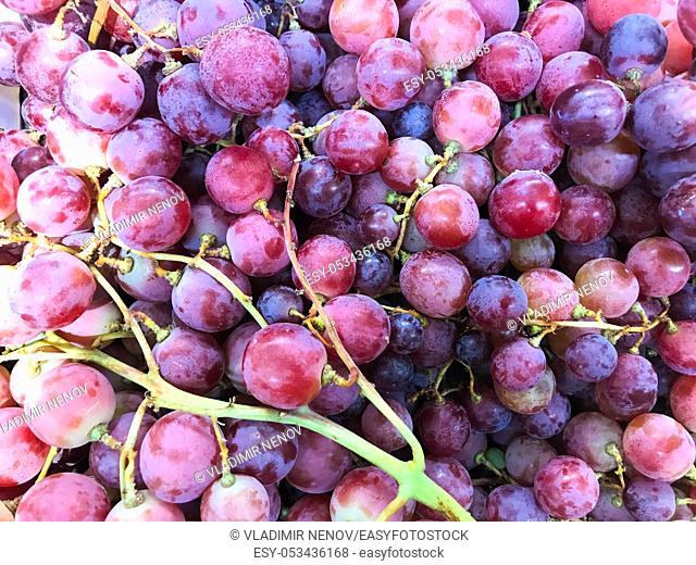 A Grape Is A Fruit, Botanically A Berry, Of The Deciduous Woody Vines Of The Flowering Plant Genus Vitis