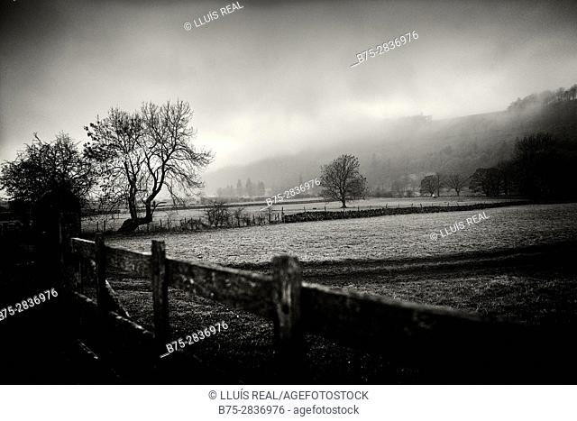 Rural landscape at sunset with trees on a foggy day. Buckden, Skipton, Yorkshire Dales, North Yorkshire, England, UK