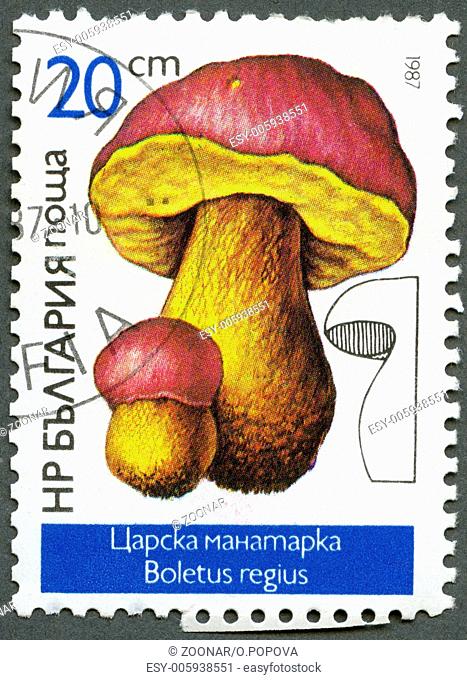 BULGARIA - 1987: shows Boletus regius, Mushrooms