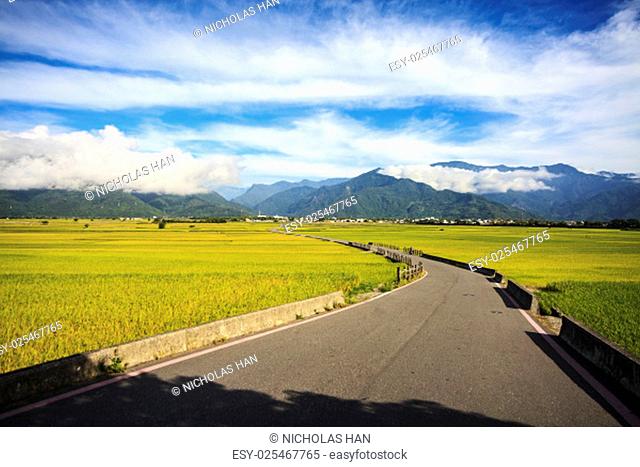 The beauty of the farmland in Taitung Taiwan for adv or others purpose use