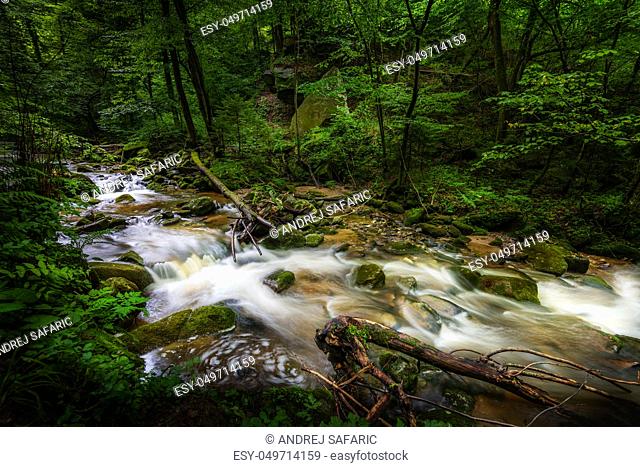 Mountain river - stream flowing through thick green forest. Stream in dense wood. Big boulders in river bed with fallen tree trunks covered in moss