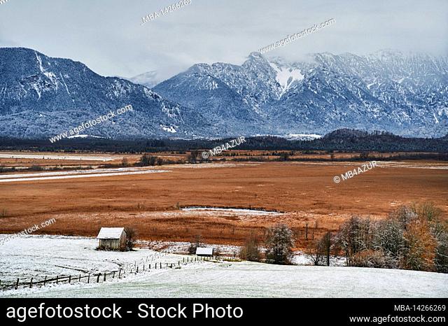 Landscape in Upper Bavaria, foothills of the Alps, Murnauer Moos, Murnau am Staffelsee, high moor in the Lange Filze in front of the mountain range of the Alps...