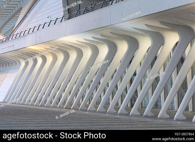 Liège-Guillemins train station by architect Santiago Calatrava, Liege, Belgium