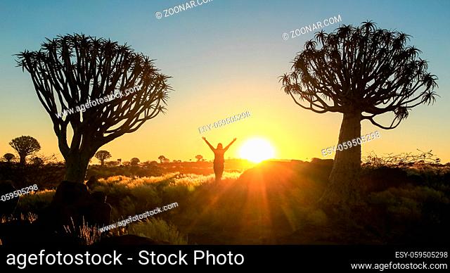 Happy celebrating winning success woman at sunset or sunrise standing elated with arms raised up above his head between two quiver tree in the grassland desert