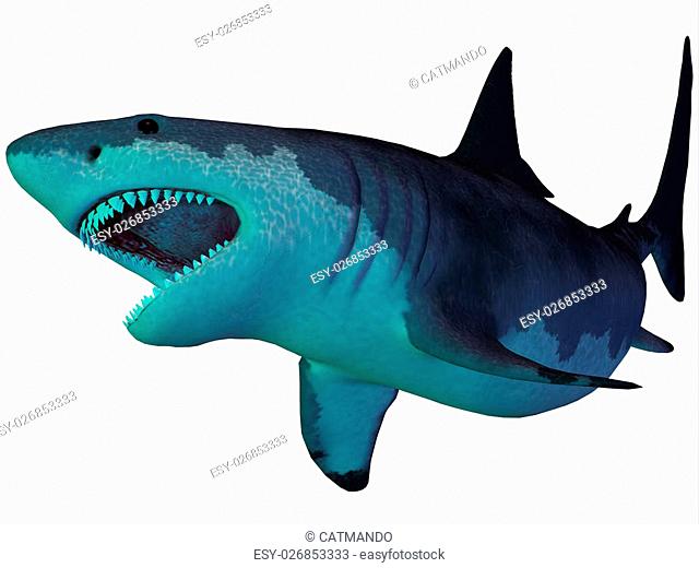 The Megalodon is an extinct megatoothed shark that existed in prehistoric times, from the Oligocene to the Pleistocene Epochs