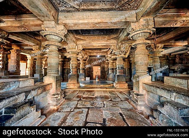 Halebid Jain Temple, Hassan, Karnataka, India