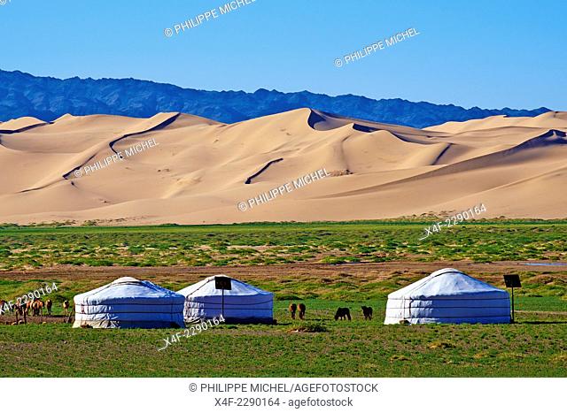 Mongolia, Omnogov province, National Park of Gobi, Gobi desert, Khongoryn Els dunes, nomad camp