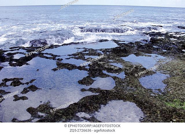 A tide-pool at a rocky shore at low tide. Tidepools on such shores are the ideal place to find and observe littoral marine creatures like marine snails, crabs