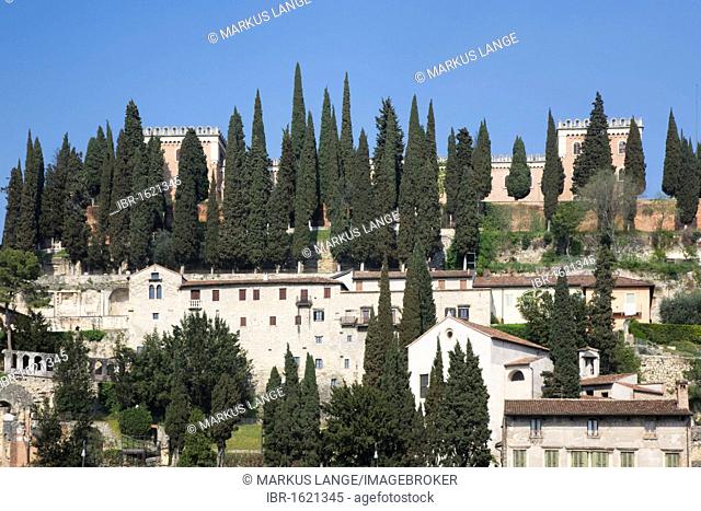 Castel San Pietro castel surrounded by cypresses, Verona, Veneto, Italy, Europe