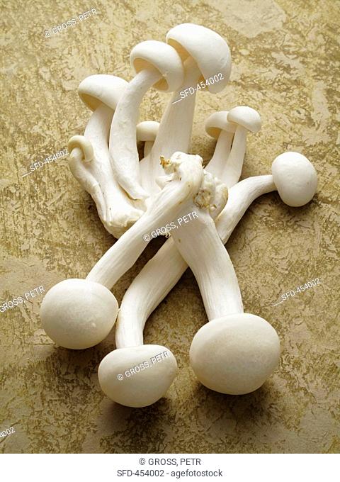 White shimejei mushrooms