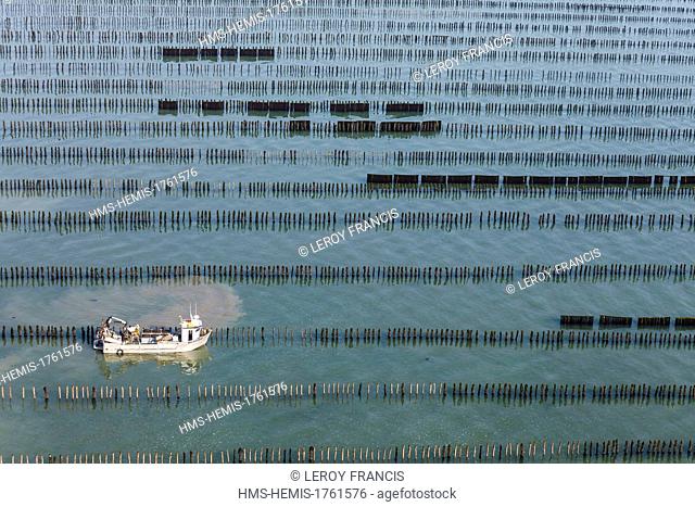 France, Charente Maritime, Saint Georges d'Oleron, Boyardville, boat in a mussel poles farm (aerial view)