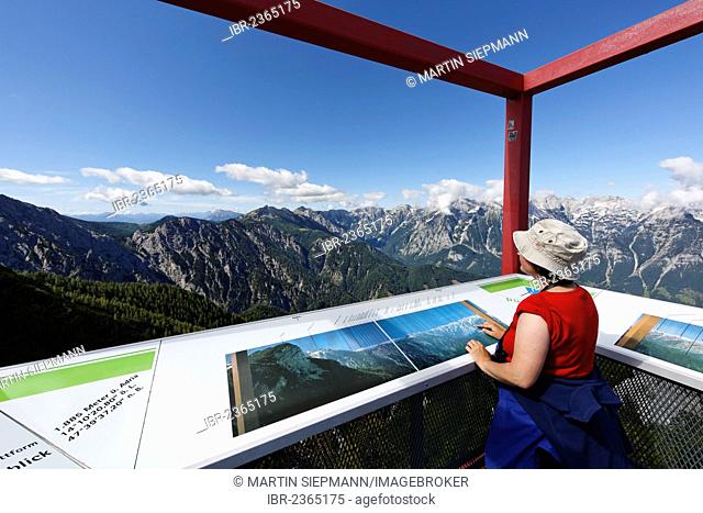 Woman at the observation deck on Hutterer Hoess Mountain, Totes Gebirge Range, Pyhrn-Priel region, Traunviertel district, Upper Austria, Austria, Europe