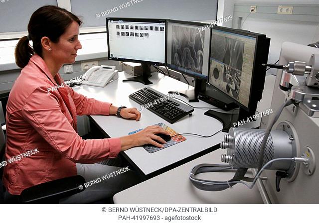 Rostock chemist Katrin Sternberg works on a scanning electron microscope and examines a stent at the institute for biomedical engineering in Rostock, Germany