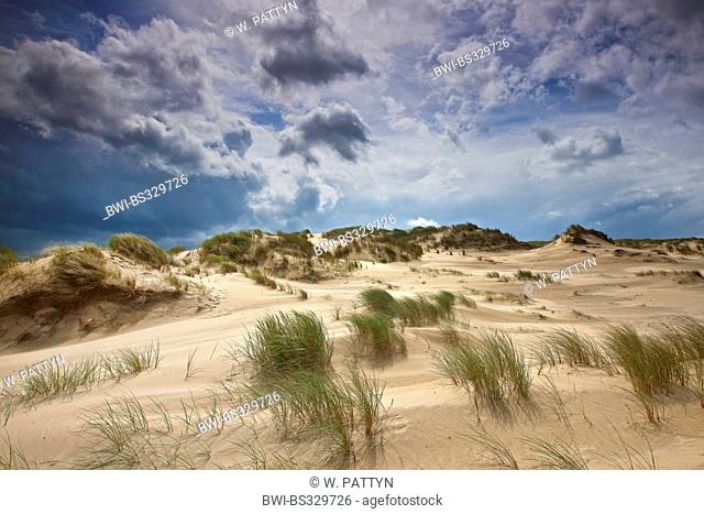 dune landscape of De Westhoek Nature Reserve, Belgium