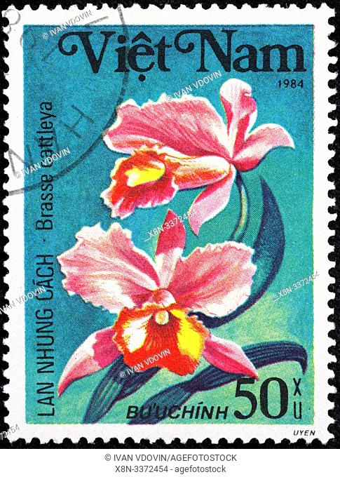 Brassocattleya, Brasso-cattleya, garden flower, postage stamp, Vietnam, 1984