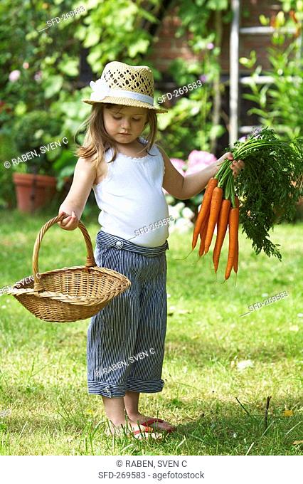 A little girl in a garden holding a basket and carrots